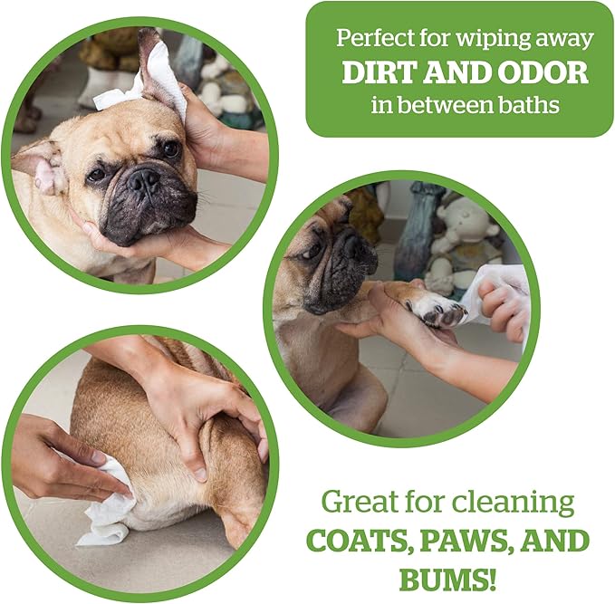 Pogi's Poop n' Wipe Combo - 500 Dog Poop Bags and 100 Plant-based Grooming Wipes Bundle