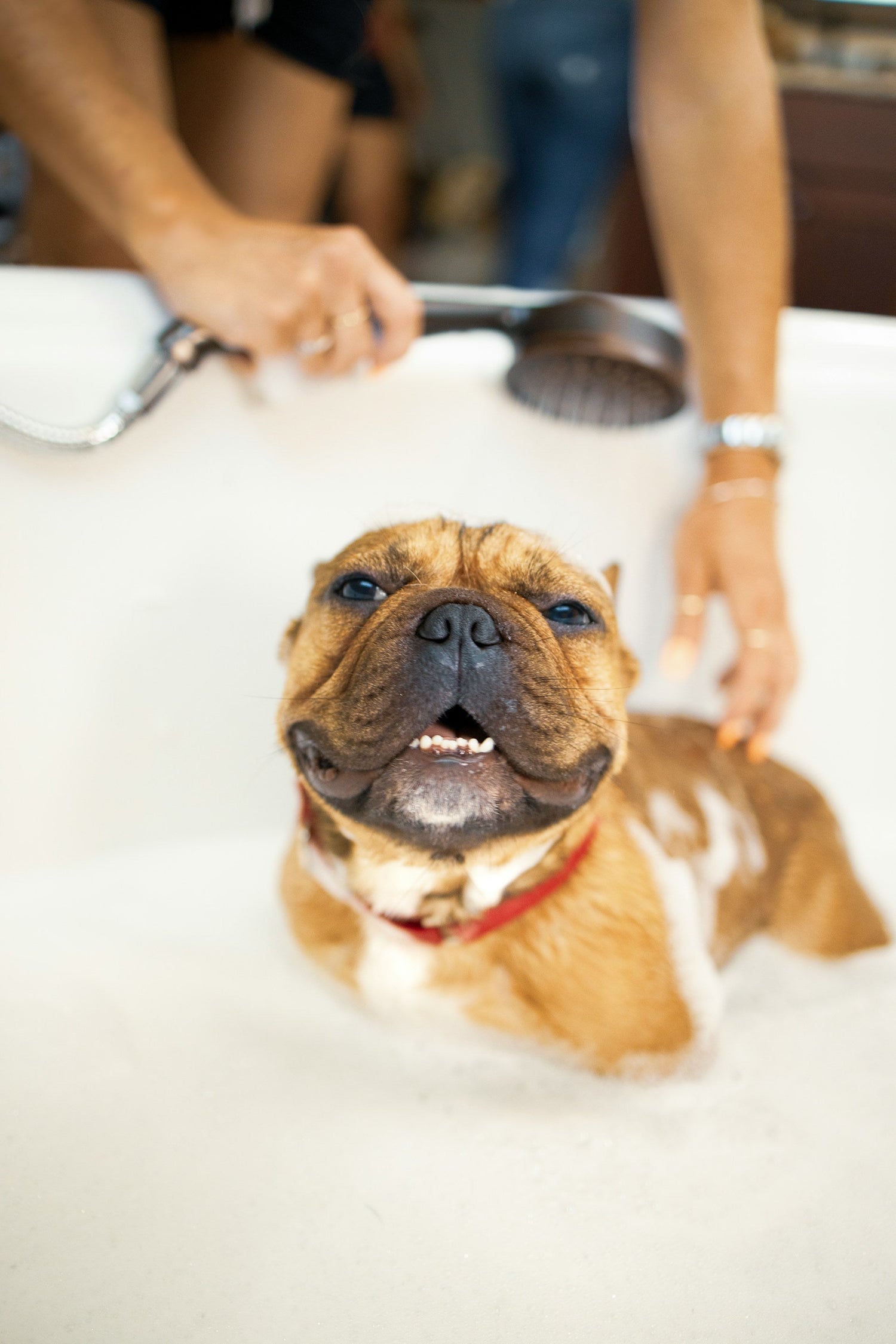 Bath Time Essentials